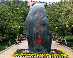 帕尔梅拉斯vs切尔西 俱乐部世界杯直播