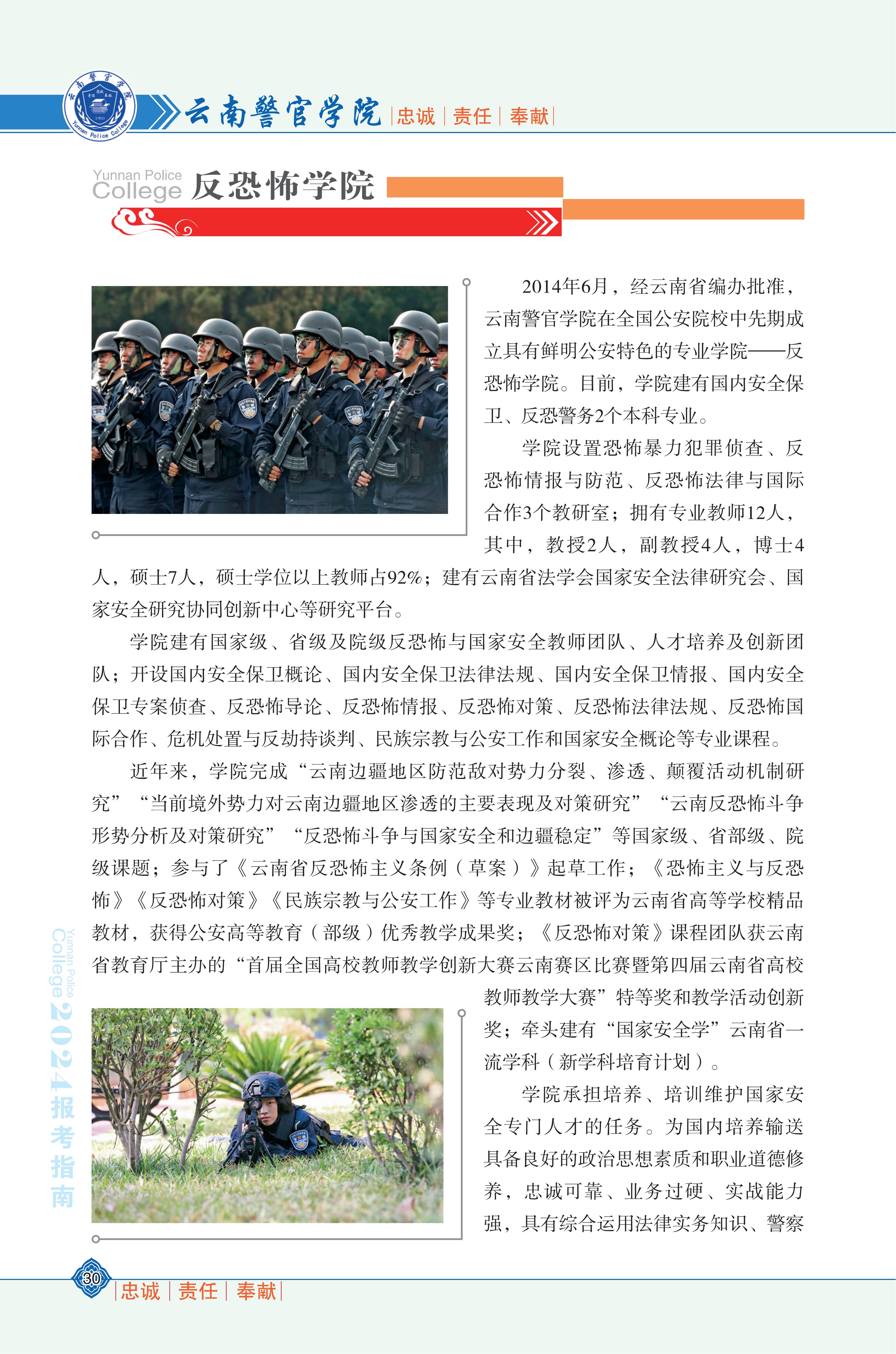 2025世俱杯 贝林厄姆 比赛